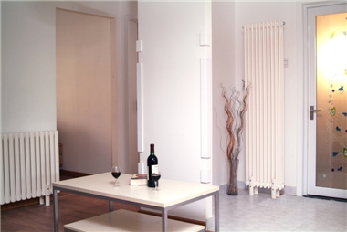 家用暖气片图片欣赏，金旗舰家用暖气片图片